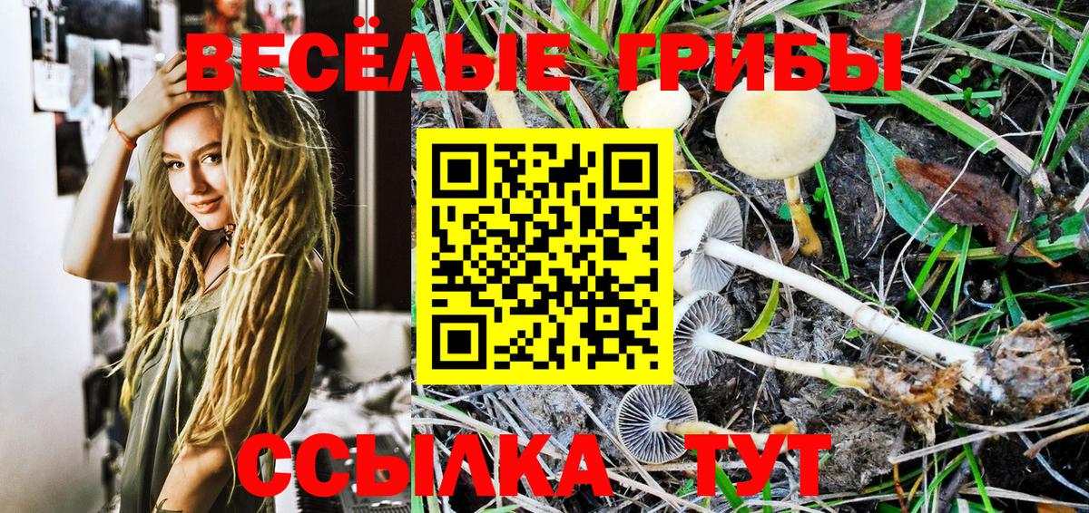Кыштым  Псилоцибиновые грибы GOLDEN TEACHER  Вход с VPN 